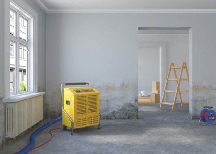 shutterstock 1896740854 clean